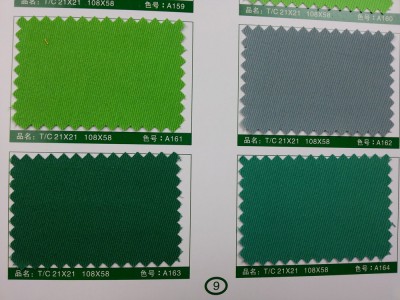 SD-DGYE   滌棉紗卡  T/C  21*21  108*58 細節-24